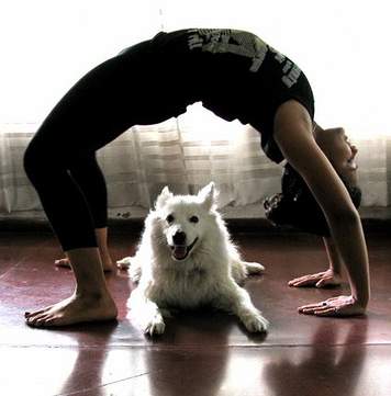 upward-facing-dog