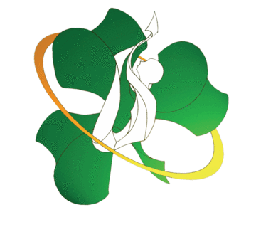 Irish-Gymnastics_large