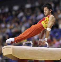 pommel