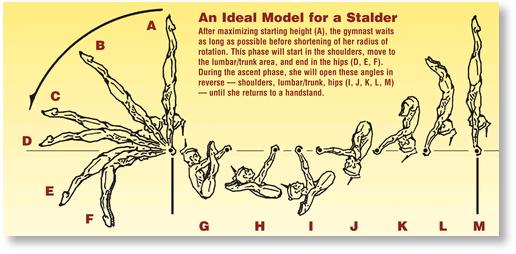 Stalder Rigid Body Model Example A Closer Look at the Stalder – Gymnastics Coaching.com